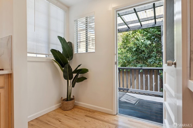 entryway featuring baseboards, wood finished floors, and a wealth of natural light