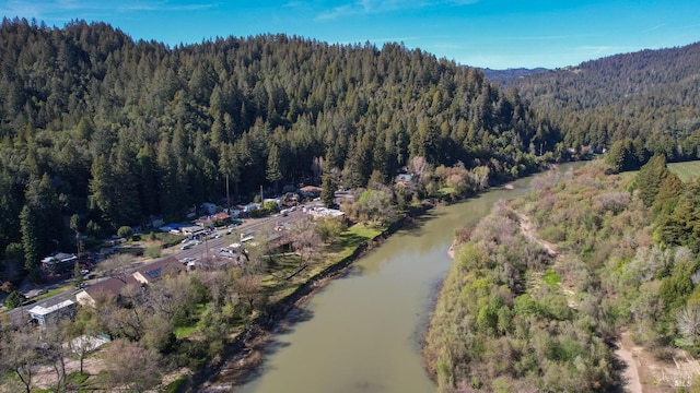 drone / aerial view with a water view and a view of trees