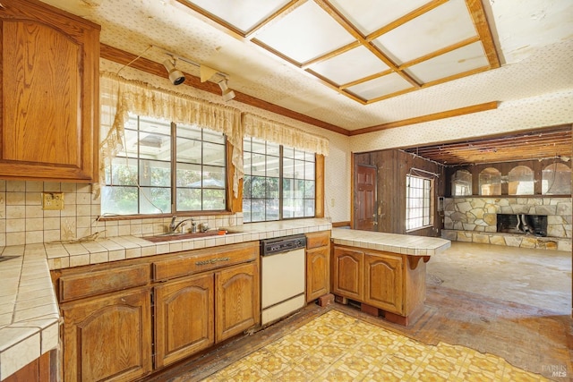 kitchen featuring a peninsula, dishwasher, a sink, and a healthy amount of sunlight