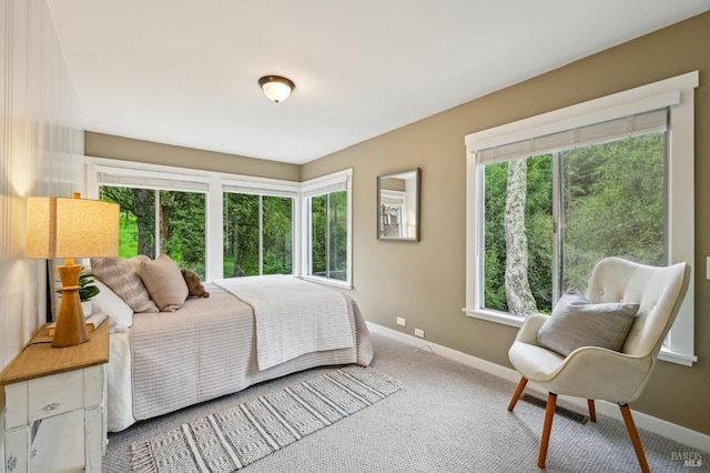 4040 Burnside Rd, Sebastopol, CA 95472 - view of outdoor structure