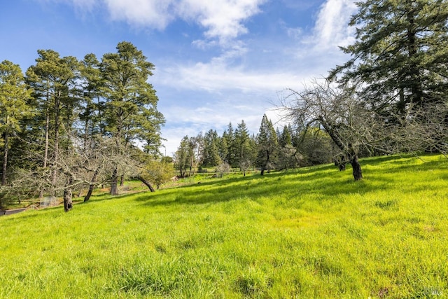 4040 Burnside Rd, Sebastopol, CA 95472 - view of local wilderness featuring rural landscape