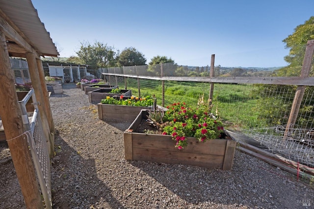 146 Shelina Vista Ln, Petaluma, CA 94952 - view of yard featuring a garden and fence