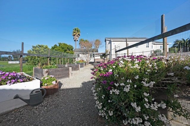 146 Shelina Vista Ln, Petaluma, CA 94952 - view of yard with fence and a vegetable garden