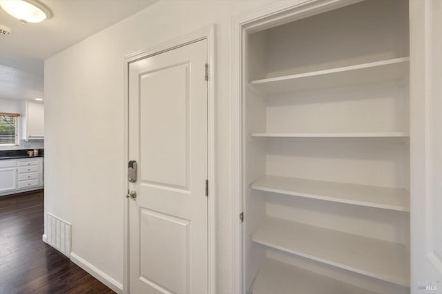 closet featuring visible vents