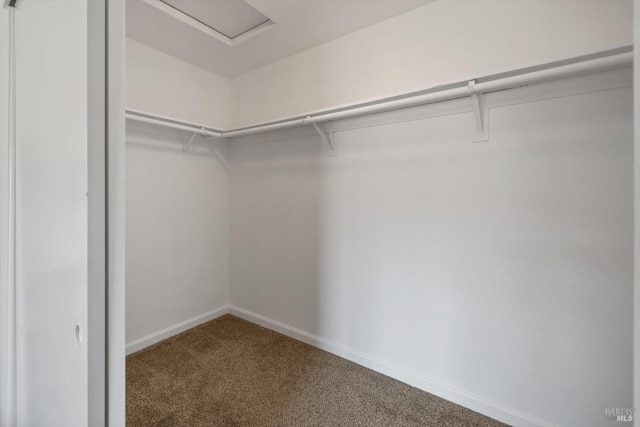 spacious closet featuring carpet flooring