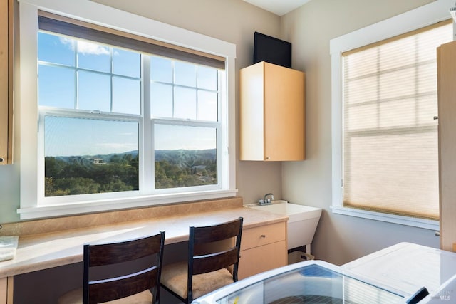 interior space with cabinet space, a sink, and a wealth of natural light