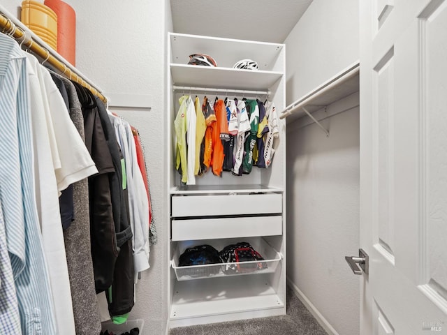 walk in closet with carpet flooring