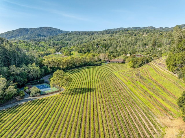 birds eye view of property with a rural view, a forest view, and a mountain view