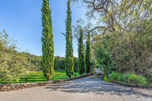 view of property's community with a yard