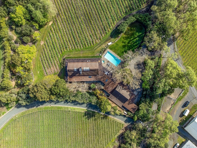drone / aerial view