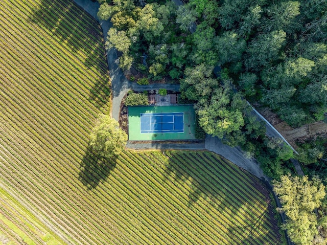 aerial view