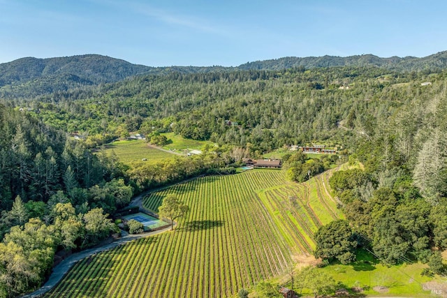 birds eye view of property featuring a forest view and a mountain view