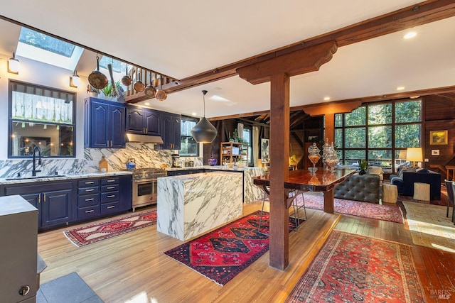 kitchen featuring under cabinet range hood, backsplash, light wood finished floors, a sink, and high end range