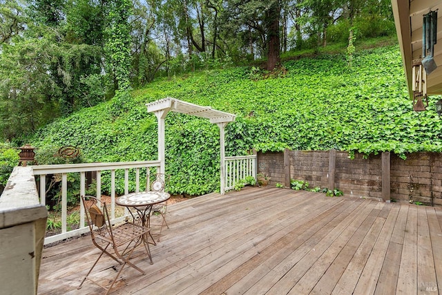 view of wooden terrace