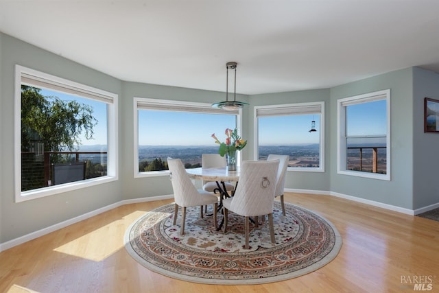 dining area with baseboards and wood finished floors