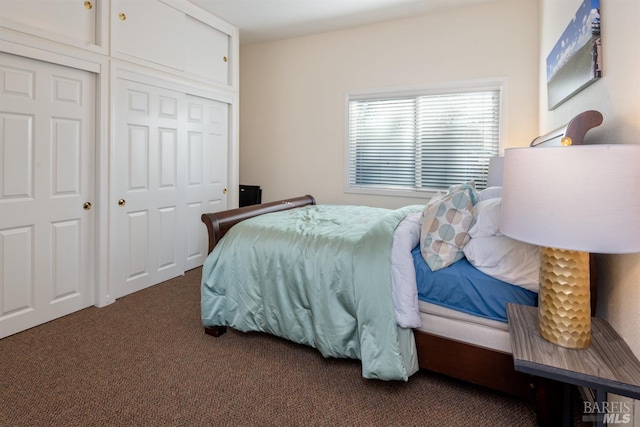 bedroom with a closet and carpet floors