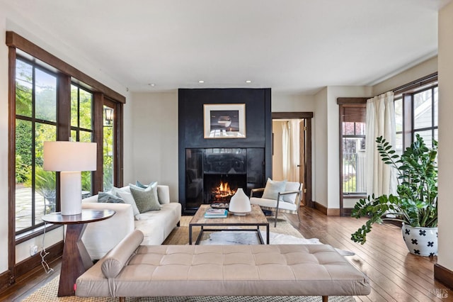 living room with a fireplace, baseboards, and hardwood / wood-style flooring