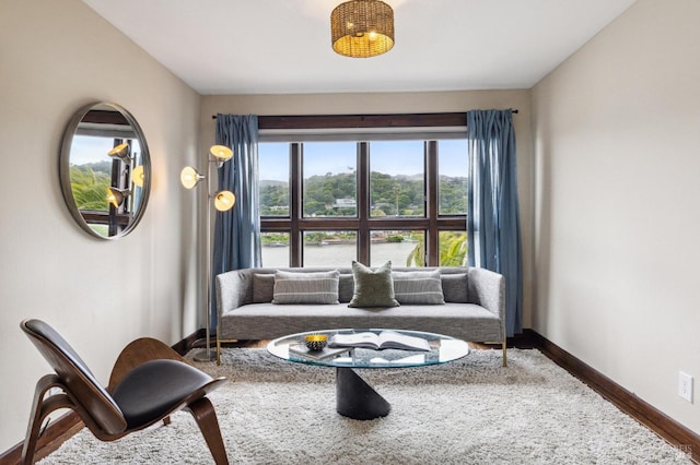 living area featuring baseboards and wood finished floors