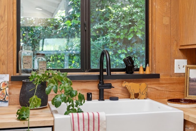 interior details with wood counters and a sink