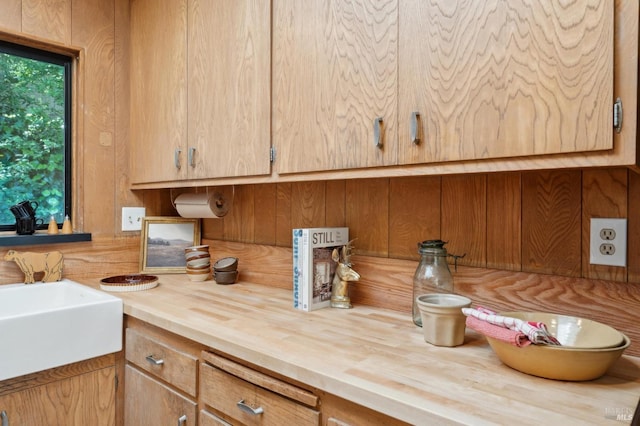 details with a sink and wooden counters