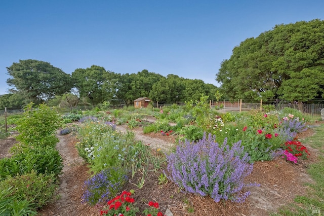 view of yard with an outdoor structure, a vegetable garden, fence, and a storage shed