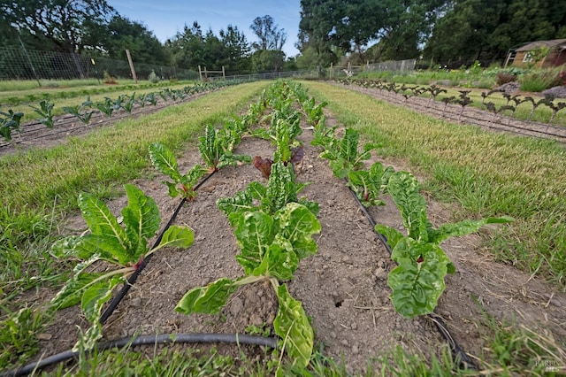 view of yard with a rural view, fence, and a vegetable garden