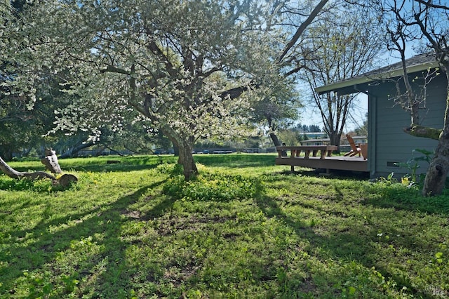 view of yard with a deck
