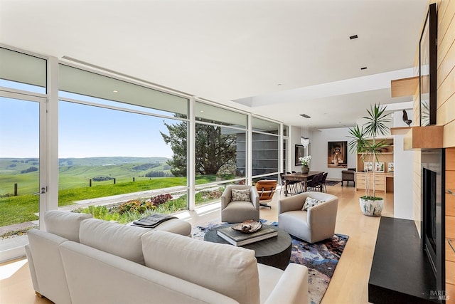 living area featuring a mountain view, a healthy amount of sunlight, light wood-style floors, and a fireplace