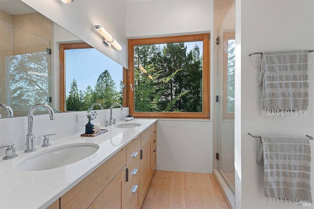 full bathroom featuring a wealth of natural light, a sink, and a stall shower