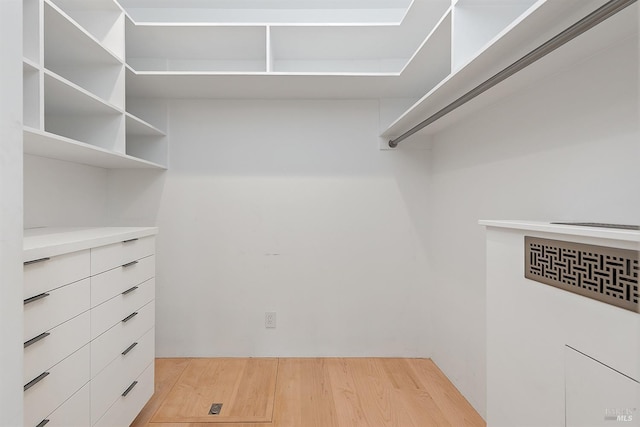 walk in closet with light wood-style flooring