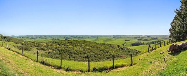 view of local wilderness with a rural view