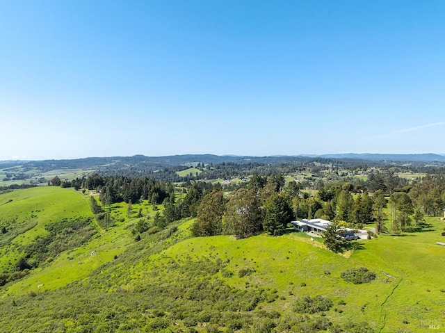bird's eye view featuring a view of trees