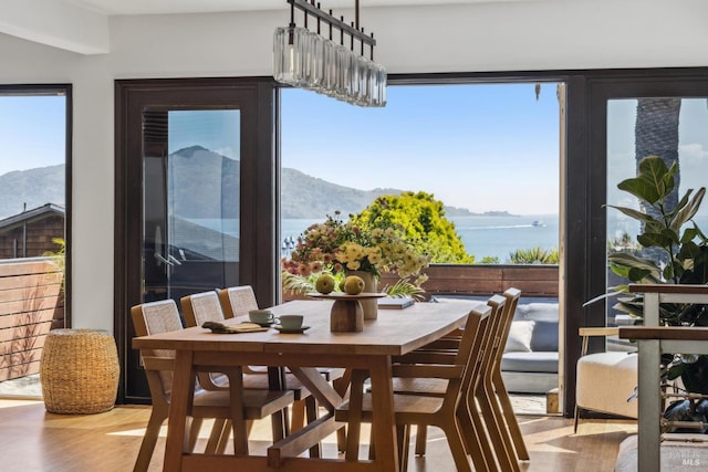 dining room featuring a mountain view and wood finished floors