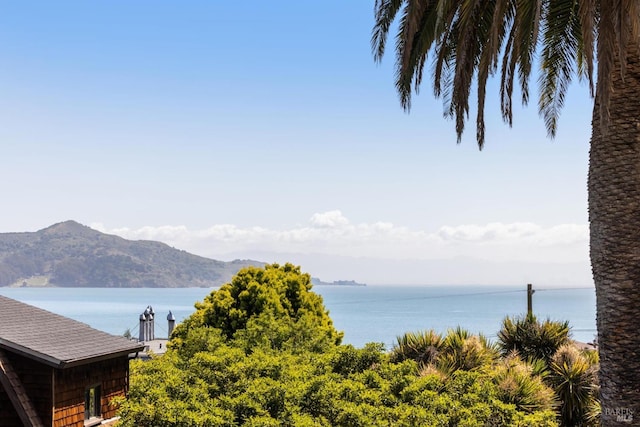 property view of water featuring a mountain view