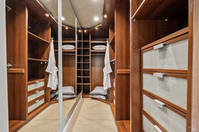 walk in closet with carpet