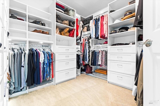 433 Tee Ct, Healdsburg, CA 95448 - walk in closet featuring carpet flooring