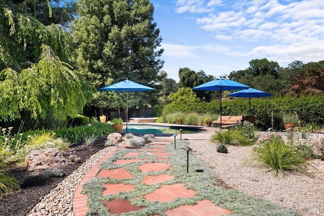 433 Tee Ct, Healdsburg, CA 95448 - view of home's community featuring a swimming pool and a patio area