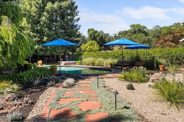 433 Tee Ct, Healdsburg, CA 95448 - surrounding community with a swimming pool, a jacuzzi, fence, and a patio