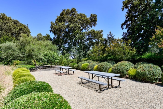 6600 Yount St Unit 40, Yountville, CA 94599 - view of property's community