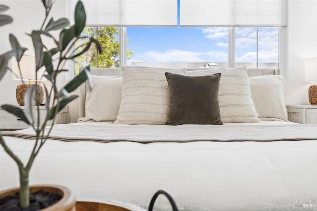 bedroom with multiple windows