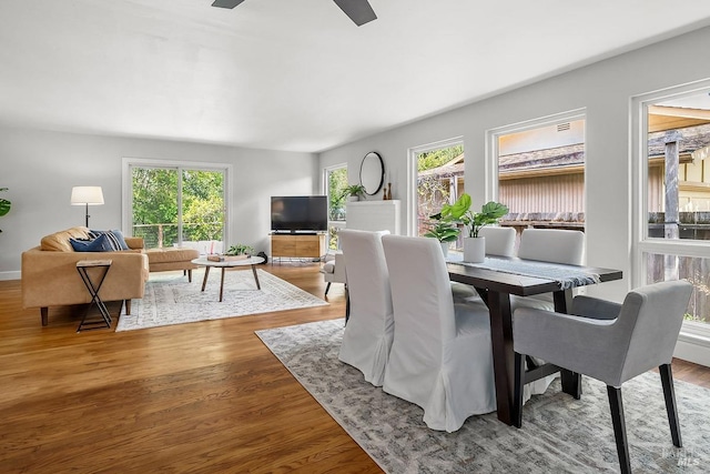 436 Calle De La Mesa, Novato, CA 94949 - dining space featuring wood finished floors and ceiling fan