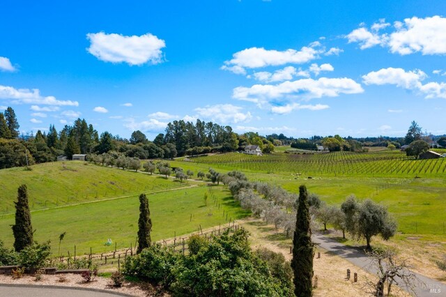 2614 Scotts Right Of Way, Sebastopol, CA 95472 - overview of rural landscape with agricultural land