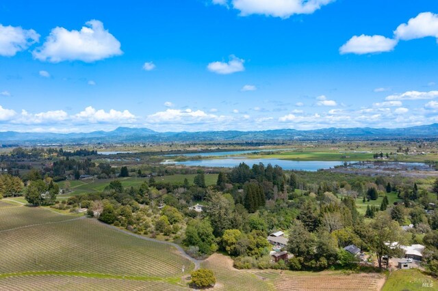 2614 Scotts Right Of Way, Sebastopol, CA 95472 - aerial view of property and surrounding area featuring property boundaries highlighted