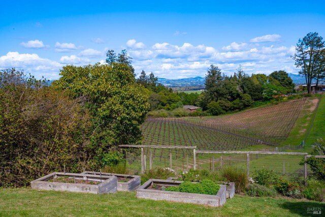 2614 Scotts Right Of Way, Sebastopol, CA 95472 - view of swimming pool