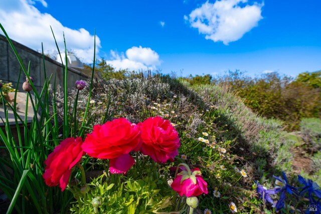 2614 Scotts Right Of Way, Sebastopol, CA 95472 - wooden deck featuring outdoor dining space and a view of countryside