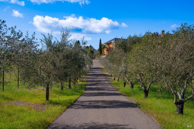 2614 Scotts Right Of Way, Sebastopol, CA 95472 - view of yard featuring a rural view
