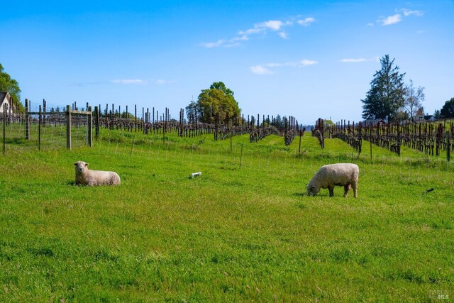 2614 Scotts Right Of Way, Sebastopol, CA 95472 - view of yard with a view of countryside