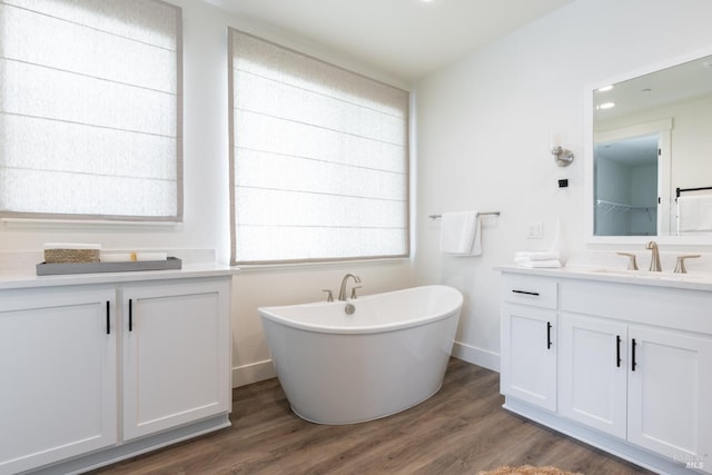 bathroom featuring wood finished floors, vanity, and plenty of natural light