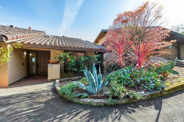 view of front facade with a tiled roof and stucco siding