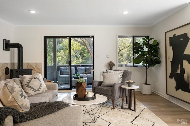 19 Savannah Ave, San Anselmo, CA 94960 - living room featuring crown molding, a wood stove, recessed lighting, and light wood-style floors